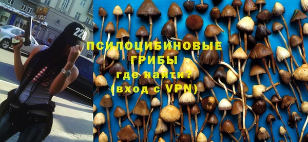 первитин Алексеевка