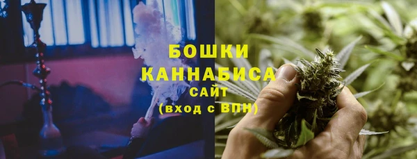 ПСИЛОЦИБИНОВЫЕ ГРИБЫ Михайловск