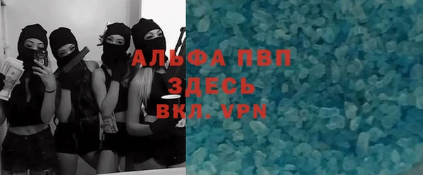 гидра Алексин
