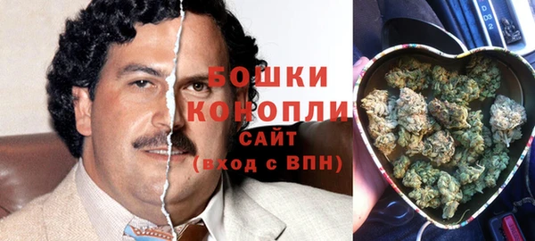гидра Алексин