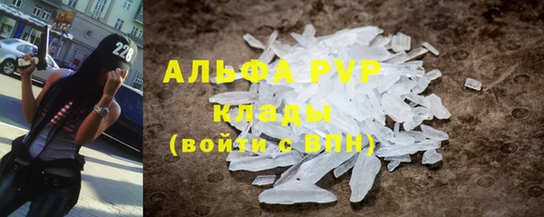 гидра Алексин