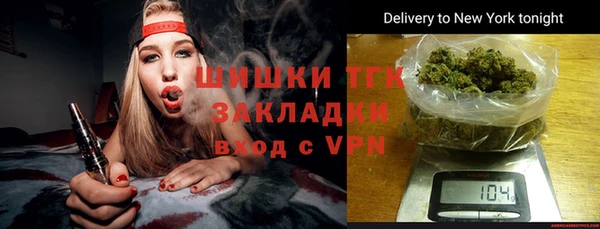 гидра Алексин