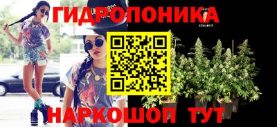 синтетический гашиш Кингисепп