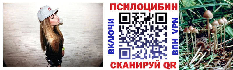 Псилоцибиновые грибы мухоморы  omg tor  Обнинск 