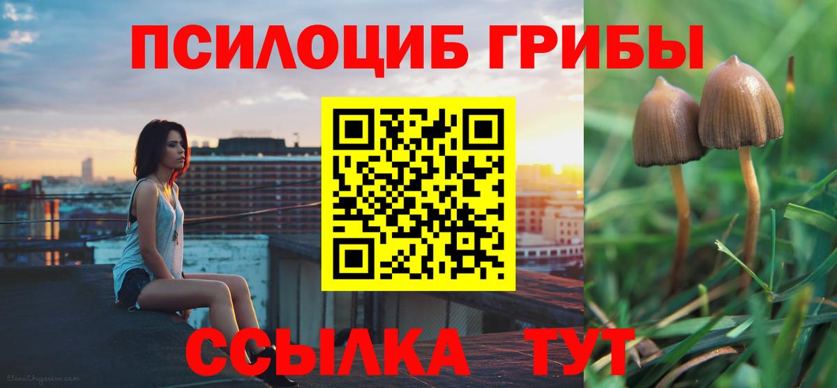 Псилоцибиновые грибы GOLDEN TEACHER Обнинск
