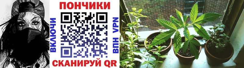 omg как войти Обнинск Канабис план наркотики